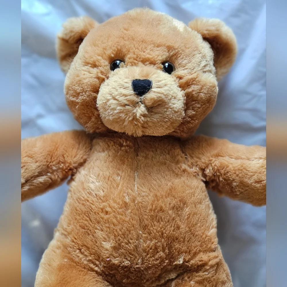 Bare Necessities Dance Recital Teddy Bear